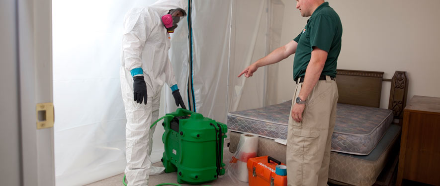 Burbank, CA mold removal process